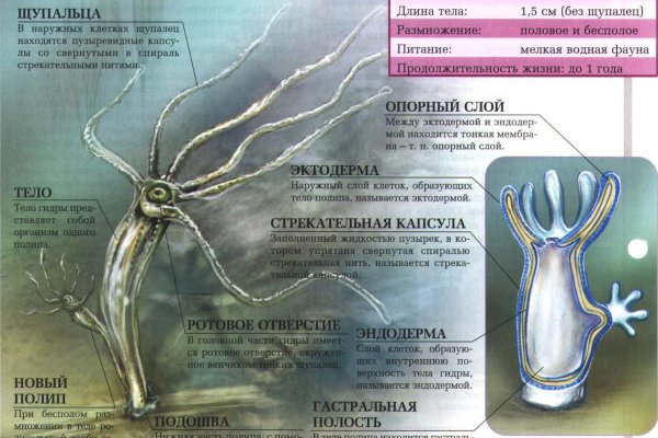 Кракен даркнет 2krnmarket
