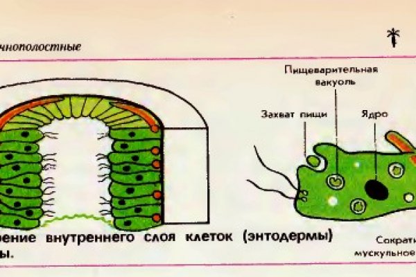 Даркнет зеркало