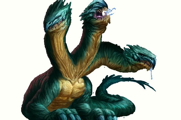 Kraken 24at